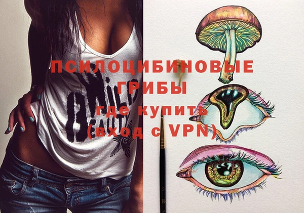 spice Корсаков