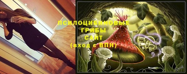 прущая мука Армянск