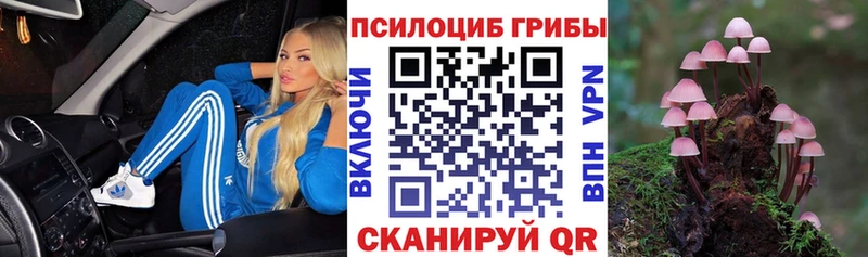 Псилоцибиновые грибы Magic Shrooms Калач-на-Дону